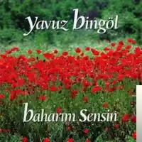 Yavuz Bingöl – Kırmızı Gül Albüm Kapağı