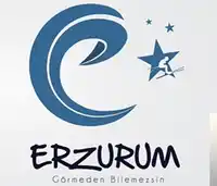 Yöresel Müzikler – Erzurum-Kavurma Koydum Tasa Albüm Kapağı