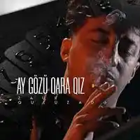 Zaur Quluzade – Faytonçuyam At Qara (Remix) Albüm Kapağı