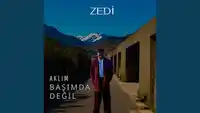 Zedi – Düşlerimden Gitmedin Albüm Kapağı
