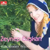 Zeynep Başkan – Vay Beni Ağlarmiydum Albüm Kapağı